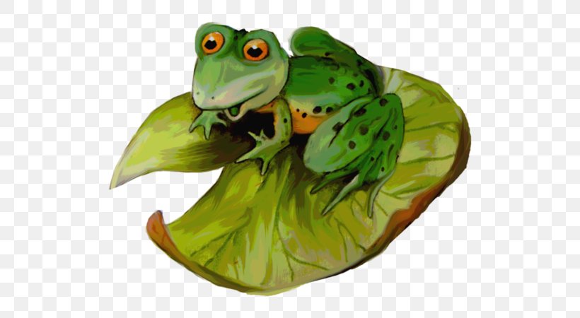 Tree Frog Clip Art True Frog Amphibians, PNG, 600x450px, Frog, Amphibian, Amphibians, Author, Color Download Free