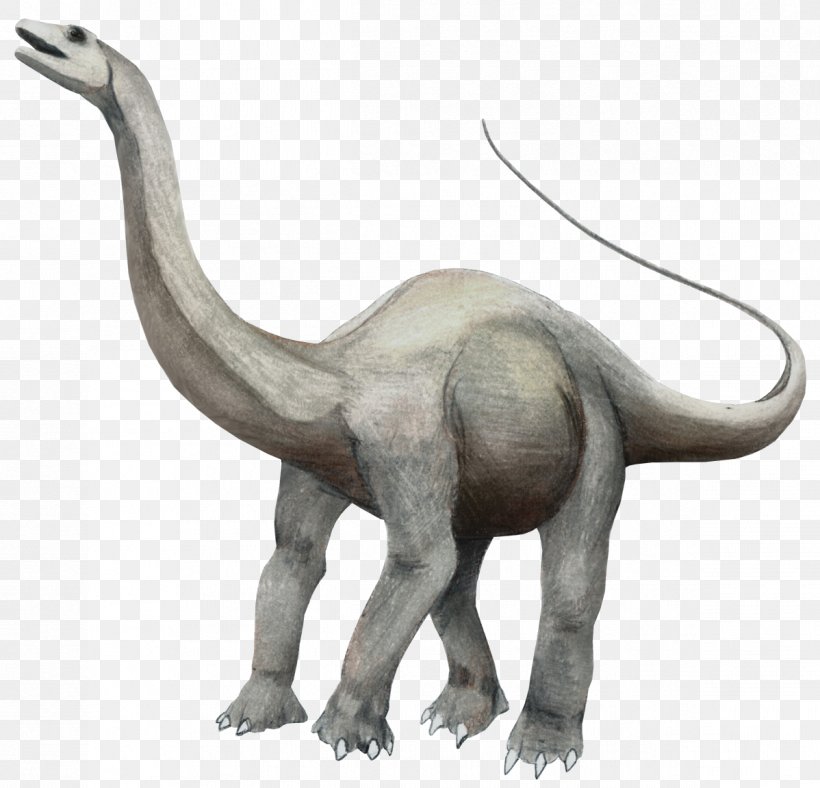 Apatosaurus Brontosaurus Brachiosaurus Triceratops Argentinosaurus, PNG, 1198x1152px, Apatosaurus, Animal Figure, Argentinosaurus, Ark Survival Evolved, Brachiosaurus Download Free