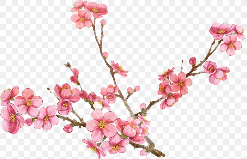 Cherry Blossom, PNG, 2563x1649px, Flower, Artificial Flower, Blossom, Branch, Cherry Blossom Download Free
