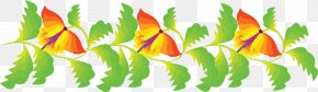 Pine Branches Creative - Drawing PNG