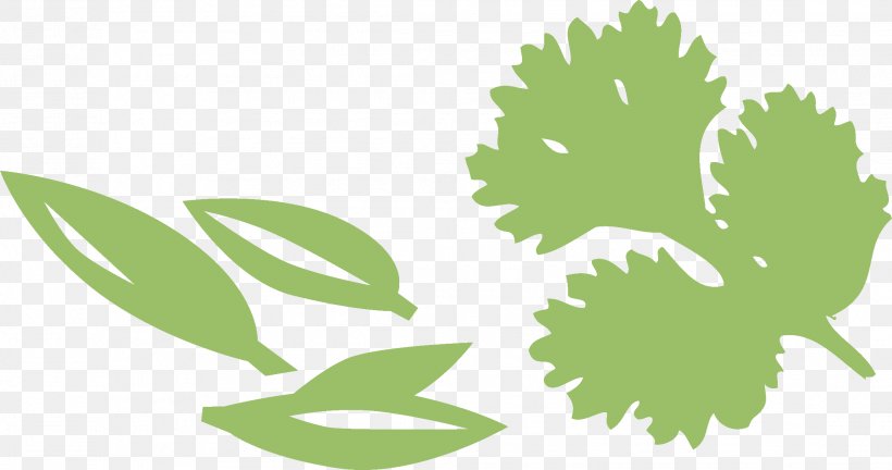 Herb Vegetable Stuffing Leaf Salad, PNG, 2216x1168px, Herb, Bean, Branch, Cucurbita Pepo Var Cylindrica, Flora Download Free