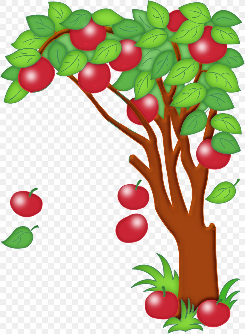 Paradise Apple Tree Clip Art, PNG, 3070x4186px, Paradise Apple, Acerola, Acerola Family, Apple, Apples Download Free