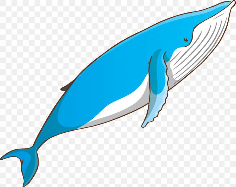 Fin Fish Bottlenose Dolphin Blue Whale Cetacea, PNG, 3000x2379px, Watercolor Whale, Blue Whale, Bottlenose Dolphin, Cetacea, Common Dolphins Download Free