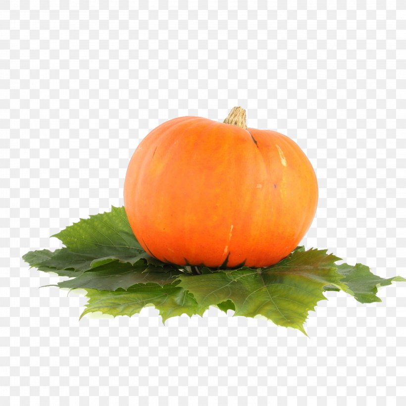 Pumpkin Jack-o-lantern Food Carving, PNG, 2953x2953px, Pumpkin, Calabaza, Carving, Cucumber Gourd And Melon Family, Cucurbita Download Free