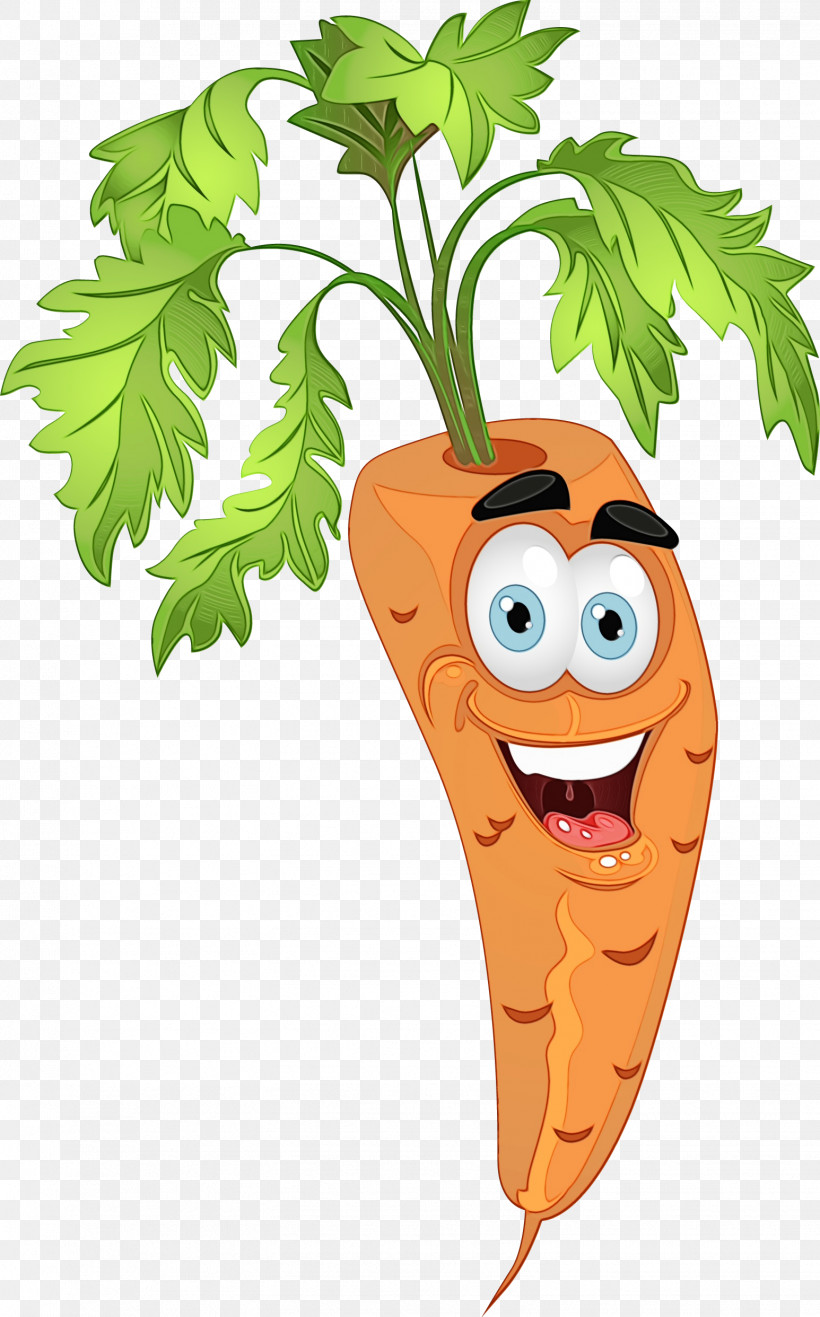 Carrot Cartoon Vegetable Leaf Root Vegetable, PNG, 1546x2484px, Watercolor, Carrot, Cartoon, Leaf, Leaf Vegetable Download Free