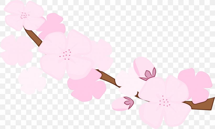 Cherry Blossom ST.AU.150 MIN.V.UNC.NR AD Desktop Wallpaper Floral Design, PNG, 1384x834px, Blossom, Branch, Branching, Cherries, Cherry Blossom Download Free