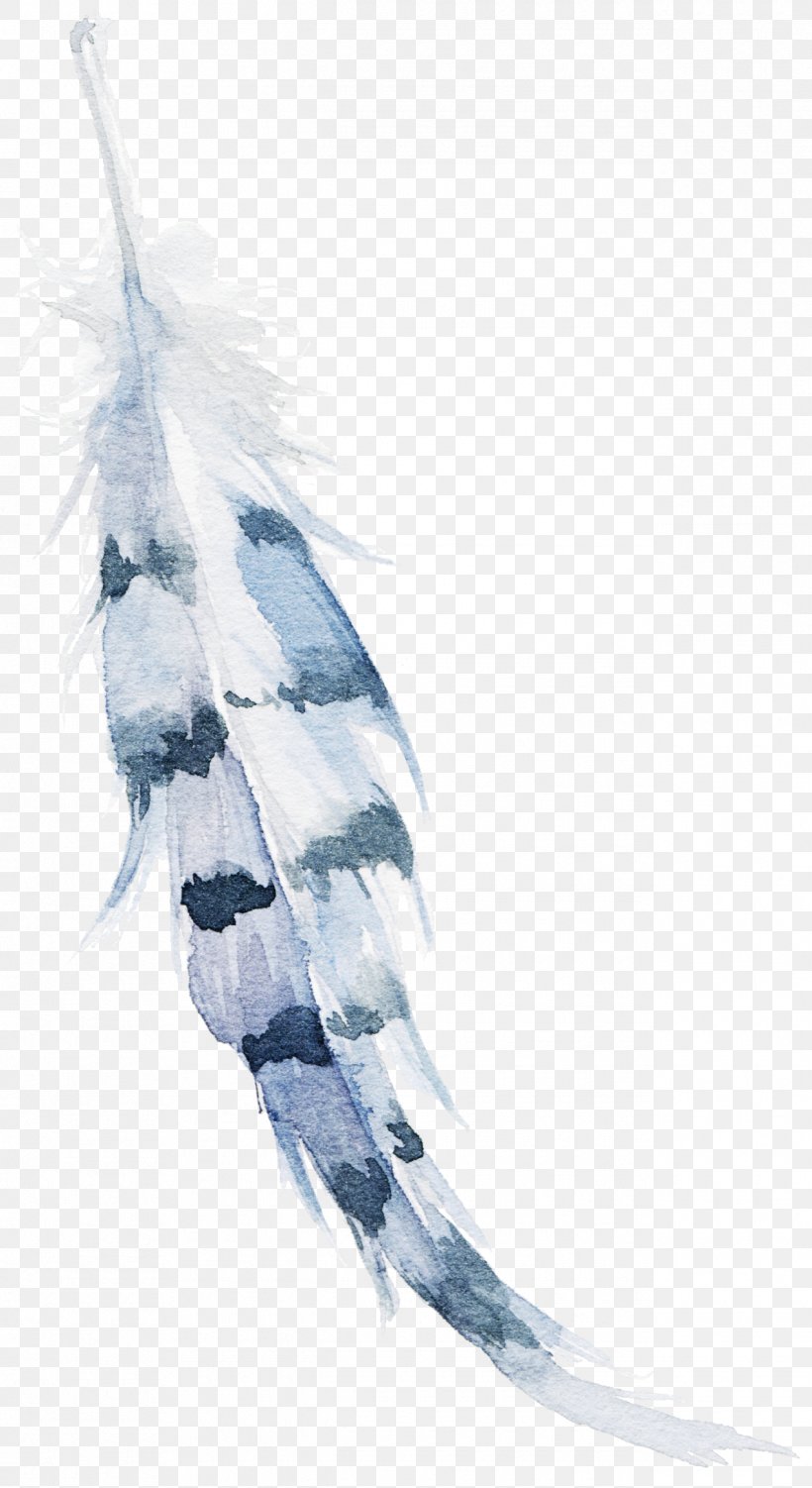 Feather Dreamcatcher, PNG, 1270x2327px, Feather, Dream, Dreamcatcher, Peafowl, Photography Download Free