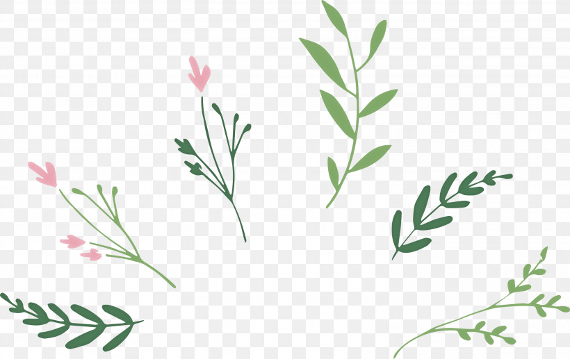 Leaf Branch, PNG, 2999x1894px, Leaf Branch, Drawing, Flower, Leaf, Logo Download Free