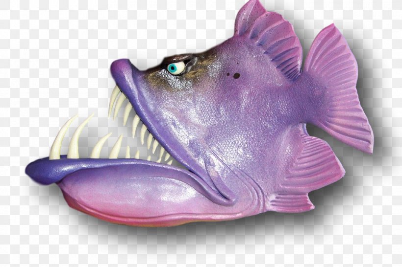 Purple Lilac Violet Fish Organism, PNG, 960x640px, Purple, Fish, Lilac, Organism, Violet Download Free