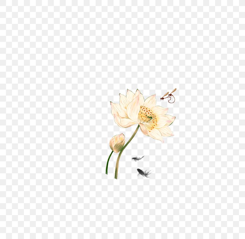 Rose Floral Design Cut Flowers Petal Pattern, PNG, 800x800px, Rose, Cut Flowers, Floral Design, Floristry, Flower Download Free