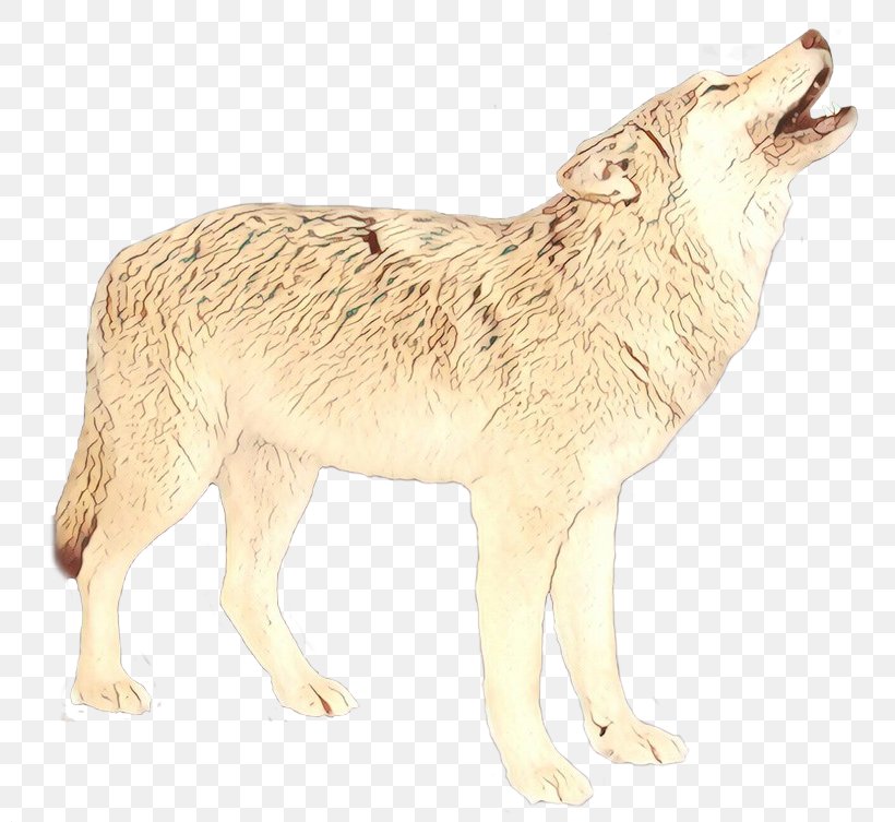 Alaskan Tundra Wolf Coyote Jackal Fauna Fur, PNG, 800x753px, Alaskan Tundra Wolf, Ancient Dog Breeds, Animal, Animal Figure, Canidae Download Free