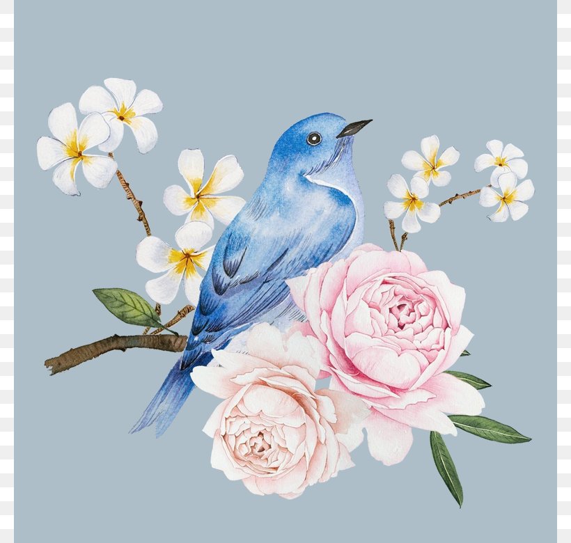 Bird Drawing Watercolor Painting Illustration Image, PNG, 780x780px, Bird, Beak, Blossom, Bluebird, Branch Download Free