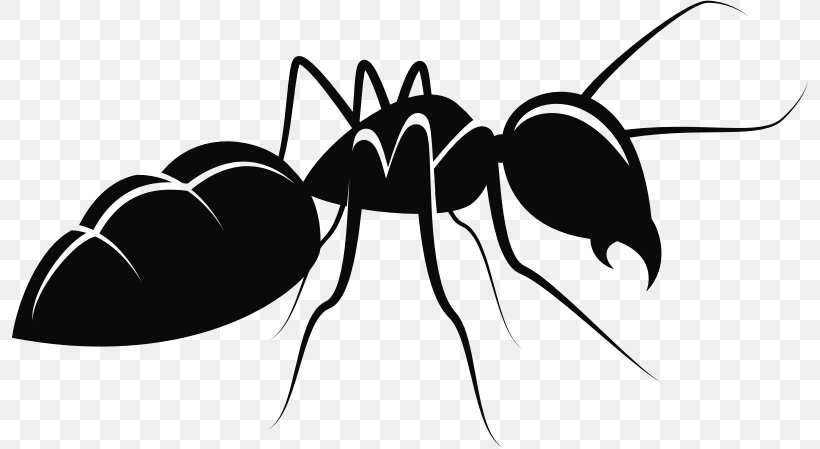 Ant Insect Vector Graphics Clip Art Drawing, PNG, 797x449px, Ant, Arthropod, Black And White, Black Garden Ant, Carpenter Ant Download Free