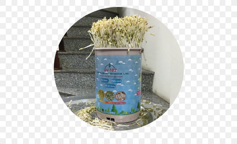Distribution Bean Sprout Sales Goods, PNG, 500x500px, Distribution, Bean Sprout, Commodity, Final Good, Flowerpot Download Free