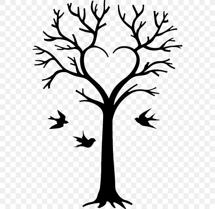 Family Tree Drawing Genealogy Clip Art, PNG, 800x800px, Family Tree, Ancestor, Artwork, Black And White, Branch Download Free