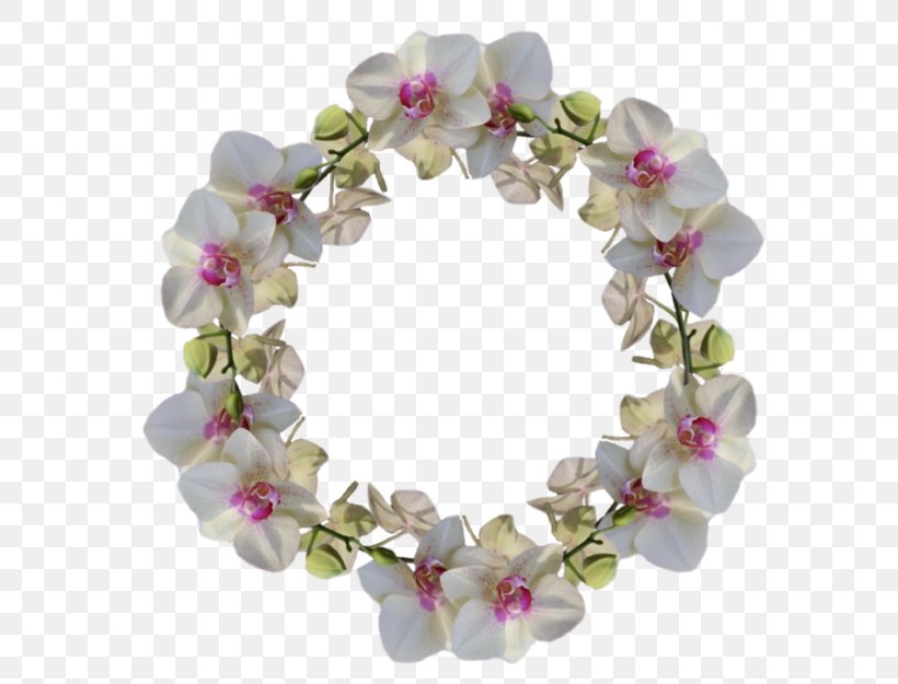 Garden Roses Flower Internet Forum Pregnancy, PNG, 600x625px, Rose, Blossom, Body Jewelry, Female, Flower Download Free