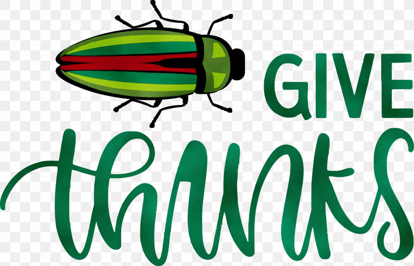 Insect Logo Meter Line, PNG, 3000x1930px, Thanksgiving, Be Thankful, Give Thanks, Insect, Line Download Free