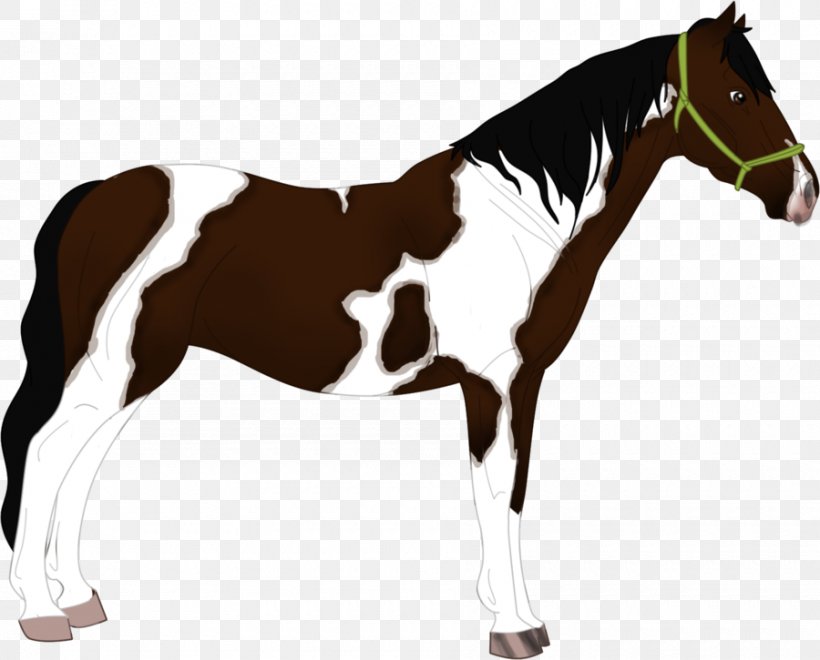 Mane Stallion Foal Mare Mustang, PNG, 900x725px, Mane, Animal Figure, Bit, Bridle, Colt Download Free