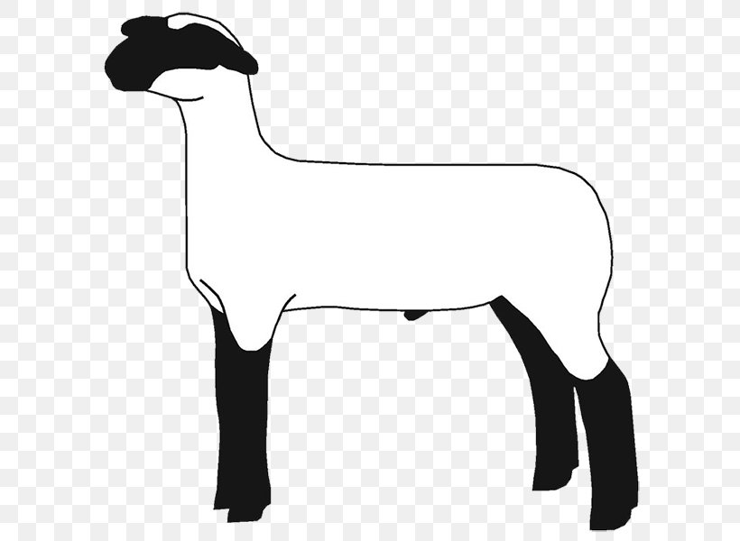 Sheep Goat Cattle Clip Art Mammal, PNG, 620x600px, Sheep, Big Sheep, Black And White, Camel Like Mammal, Carnivoran Download Free