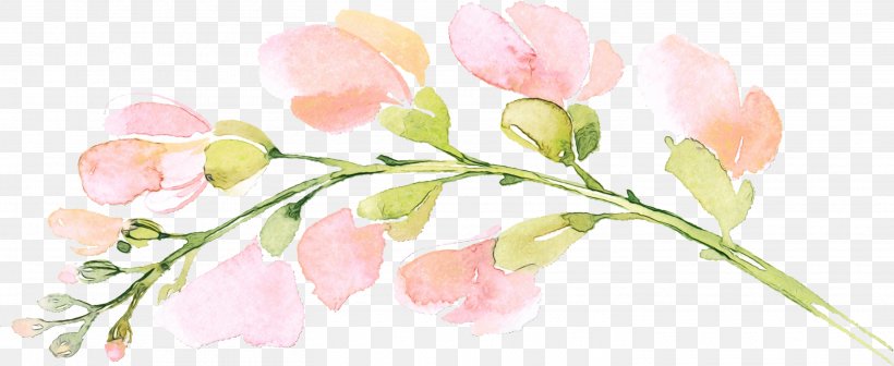 Tapestry Clip Art Watercolor Painting Image Desktop Wallpaper, PNG, 2930x1203px, Tapestry, Blossom, Botany, Branch, Bud Download Free