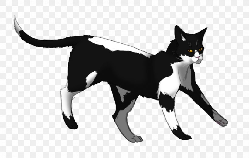 Warriors Swiftpaw Erin Hunter Wikia, PNG, 900x571px, Warriors, Black, Black And White, Black Cat, Blossomfall Download Free
