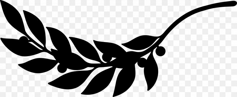 Clip Art Logo Pattern Line Beak, PNG, 2400x988px, Logo, Beak, Black M, Blackandwhite, Botany Download Free
