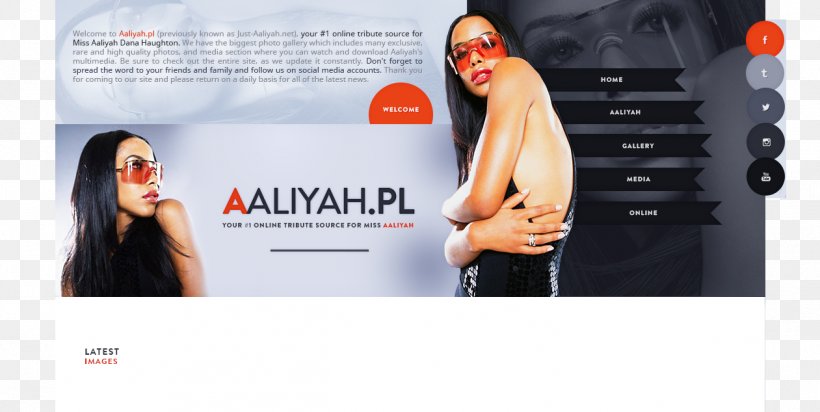 Painting Art Portrait Hidden Faces Brand, PNG, 1261x634px, Painting, Aaliyah, Advertising, Art, Brand Download Free
