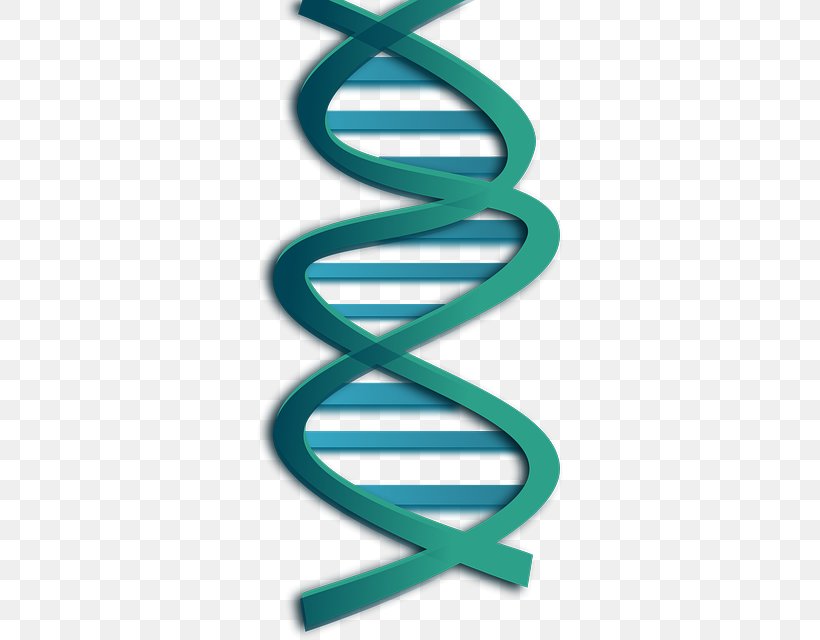 DNA Nucleic Acid Double Helix Clip Art, PNG, 640x640px, Dna, Gene, Genetics, Helix, Mitochondrial Dna Download Free