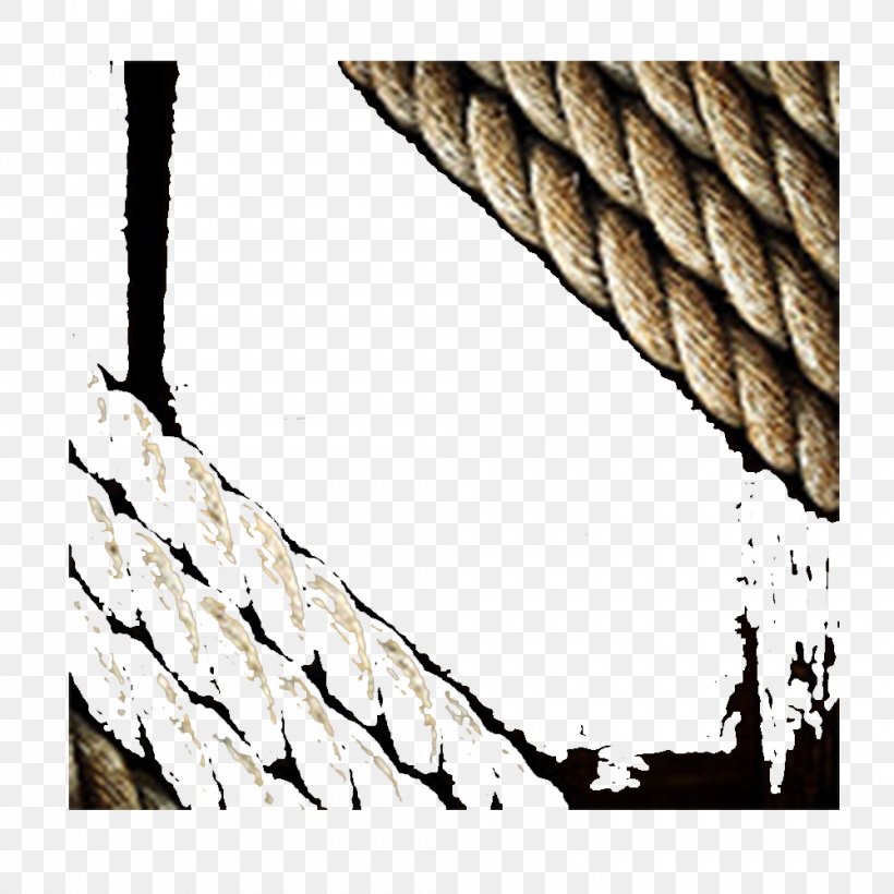 Rope, PNG, 1000x1000px, Rope, Computer Graphics, Gratis, Ribbon, Strap Download Free