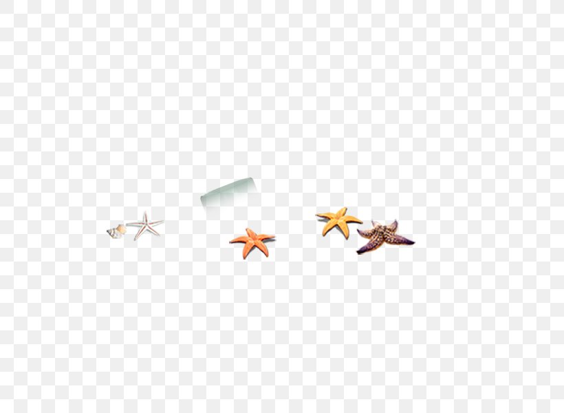 Starfish Euclidean Vector Icon, PNG, 600x600px, Starfish, Gratis, Resource, Search Engine, Wing Download Free