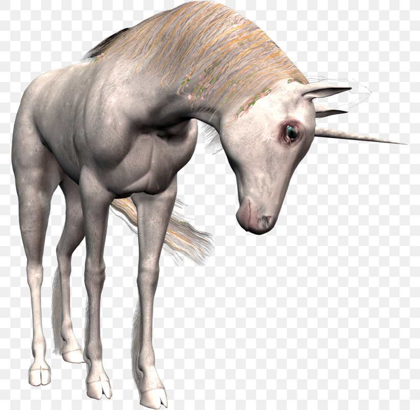 Unicorn Horn Horse, PNG, 777x800px, Unicorn, Colt, Drawing, Fauna, Fictional Character Download Free