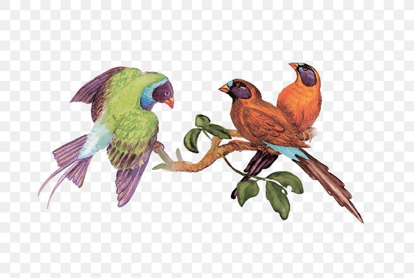 Watercolor: Flowers Watercolor Painting Vector Graphics, PNG, 800x550px, Watercolor Flowers, Art, Beak, Bird, Canvas Download Free
