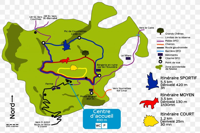Cartoon Tree Ecoregion Map, PNG, 6000x4000px, Cartoon, Animal, Animated Cartoon, Area, Ecoregion Download Free