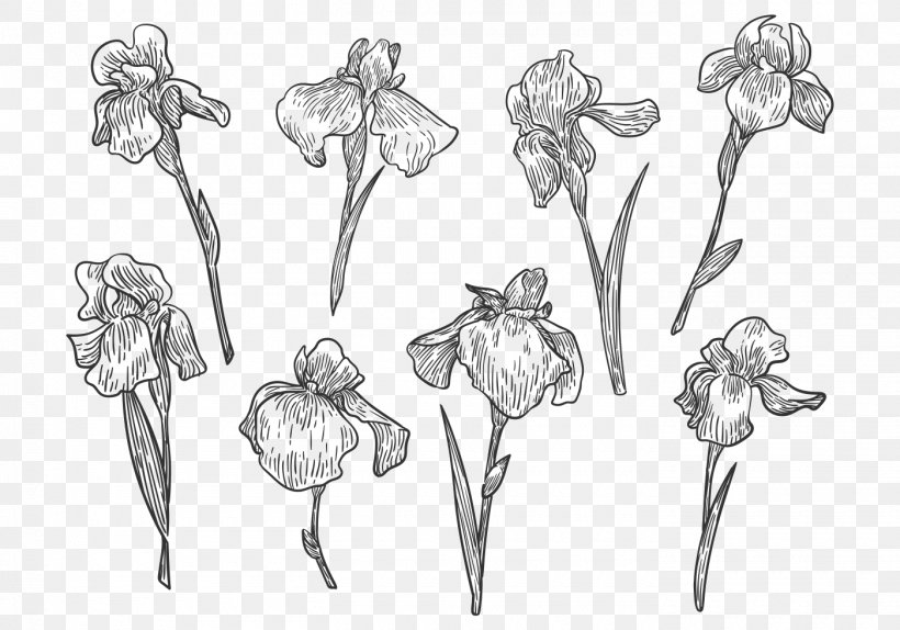 Drawing Flower Line Art Sketch, PNG, 1400x980px, Drawing, Artwork, Black And White, Body Jewelry, Botanical Illustrator Download Free