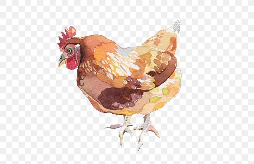 Roast Chicken Lemon Chicken Watercolor Painting Illustration, PNG, 564x531px, Chicken, Art, Baking, Beak, Bird Download Free