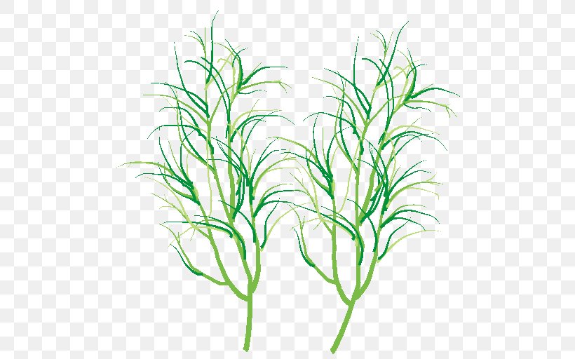Stock Photography Royalty-free Stock Illustration Image, PNG, 512x512px, Stock Photography, Aquarium Decor, Botany, Drawing, Grass Download Free
