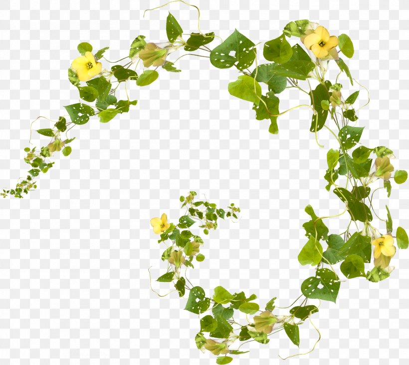 Clip Art, PNG, 1918x1716px, Rattan, Branch, Flora, Floral Design, Flower Download Free