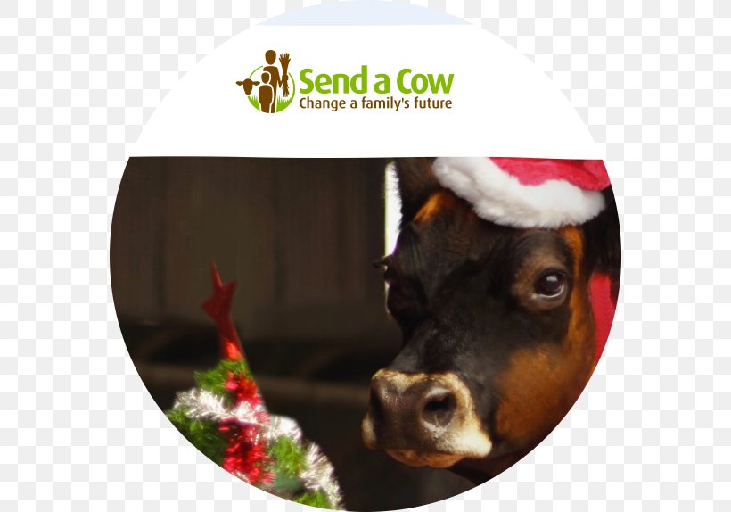 Dog Snout Cattle Christmas Ornament Christmas Day, PNG, 574x574px, Dog, Cattle, Christmas Day, Christmas Ornament, Snout Download Free