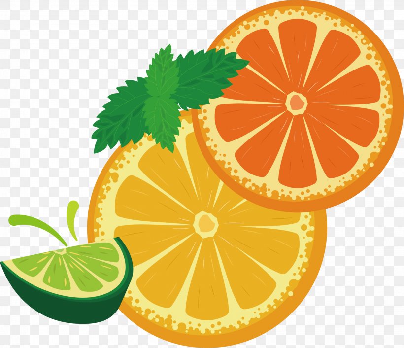 Lemon Yuvarlakia Fruit Adobe Illustrator, PNG, 2030x1750px, Lemon, Bitter Orange, Citric Acid, Citrus, Drawing Download Free