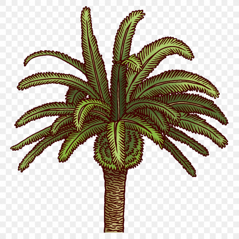 Palm Trees, PNG, 1400x1400px, Palm Trees, Biology, Flowerpot, Leaf, Plant Stem Download Free