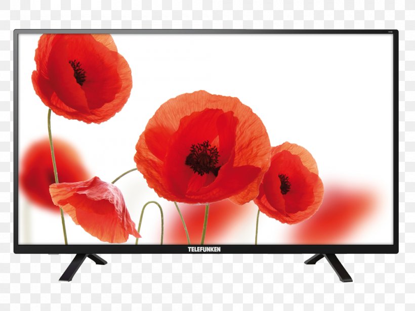 Telefunken High-definition Television 1080p LED-backlit LCD, PNG, 1000x750px, Telefunken, Coquelicot, Digital Video Broadcasting, Display Device, Display Resolution Download Free