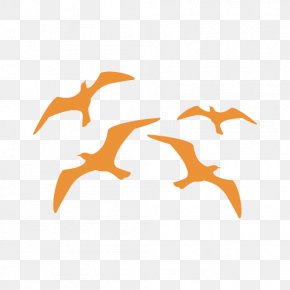 Bird - Bird Stencil Gulls Aerography Swallow PNG