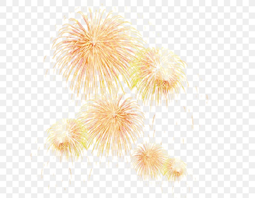 Fireworks Firecracker Design Image, PNG, 635x635px, Fireworks, Art, Chinese New Year, Event, Firecracker Download Free