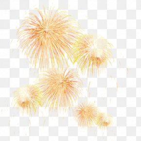 Fireworks - Fireworks Firecracker Design Image PNG