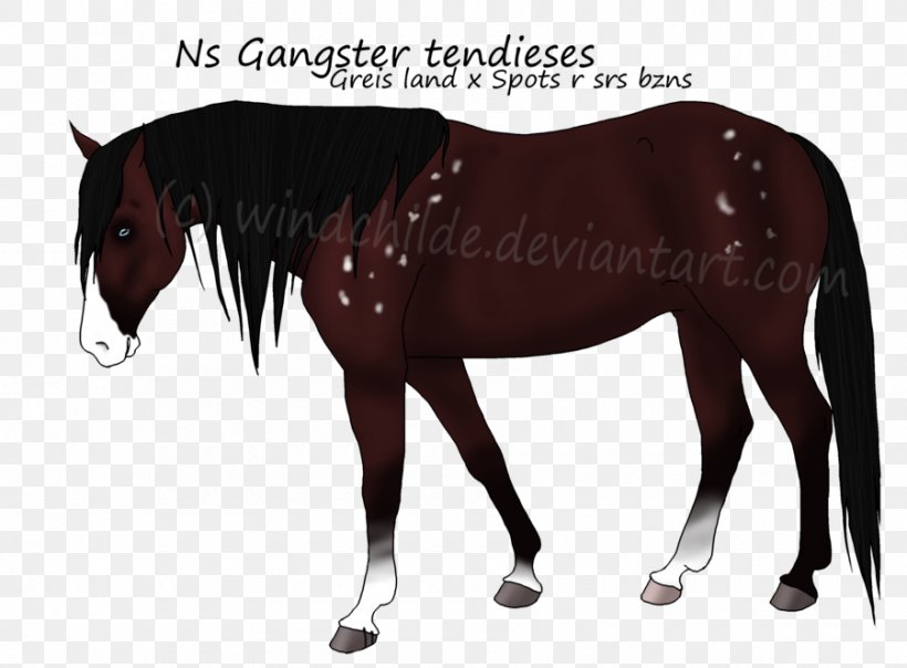 Mustang Stallion Mare Halter Horse Harnesses, PNG, 900x663px, Mustang, Bridle, Colt, Dog Harness, Halter Download Free