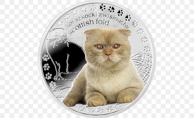 Scottish Fold Whiskers British Shorthair Domestic Short-haired Cat Silver Coin, PNG, 500x500px, Scottish Fold, Asian, British Shorthair, Carnivoran, Cat Download Free