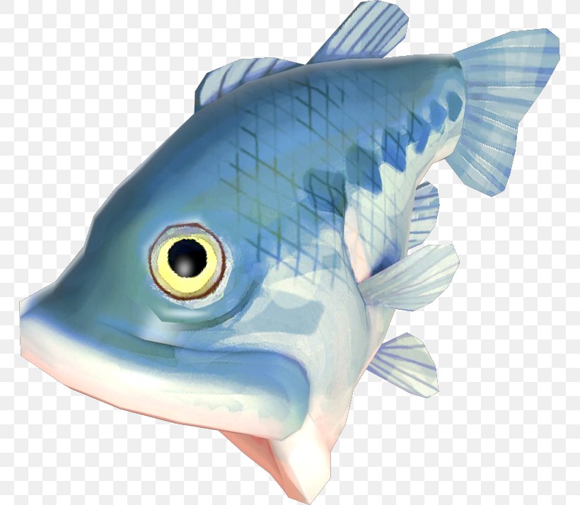 Bony Fishes Flatfish Mummy Pig Plaice, PNG, 765x714px, Fish, Bony Fish, Bony Fishes, Deep Sea Fish, Electric Blue Download Free