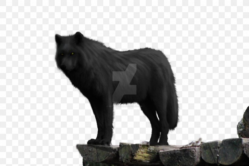 Dog Black Wolf Image Arctic Wolf, PNG, 1095x730px, Dog, Animal, Animal Figure, Arctic Wolf, Black Wolf Download Free