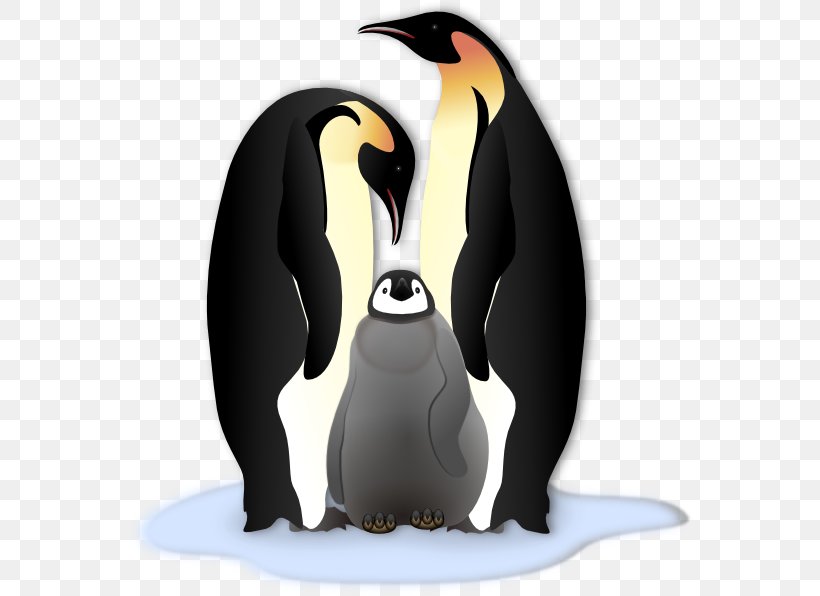 Emperor Penguin Antarctica Gentoo Penguin Clip Art, PNG, 564x596px