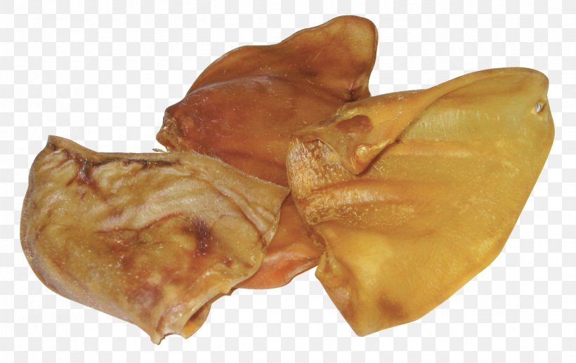 Pig's Ear Dog Domestic Pig, PNG, 1654x1043px, Dog, Animal, Cuban Pastry, Dish, Dog Food Download Free